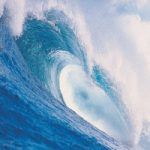 Telecom and Media. How to ride the OTT wave